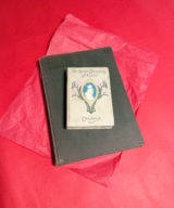 sparkpick features spark and rebel vintage curated book romantic set in sustainable fashion