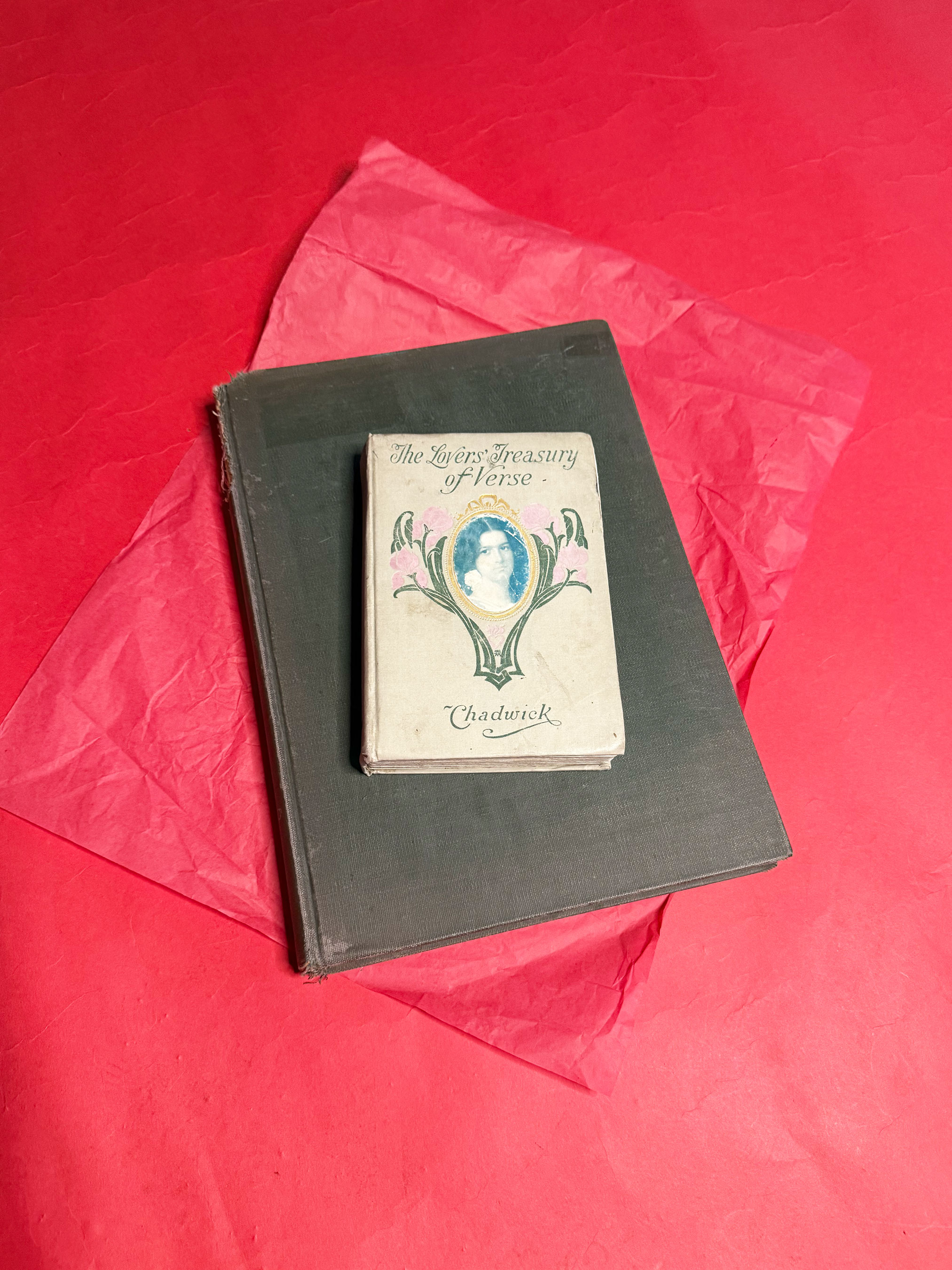 sparkpick features spark and rebel vintage curated book romantic set in sustainable fashion