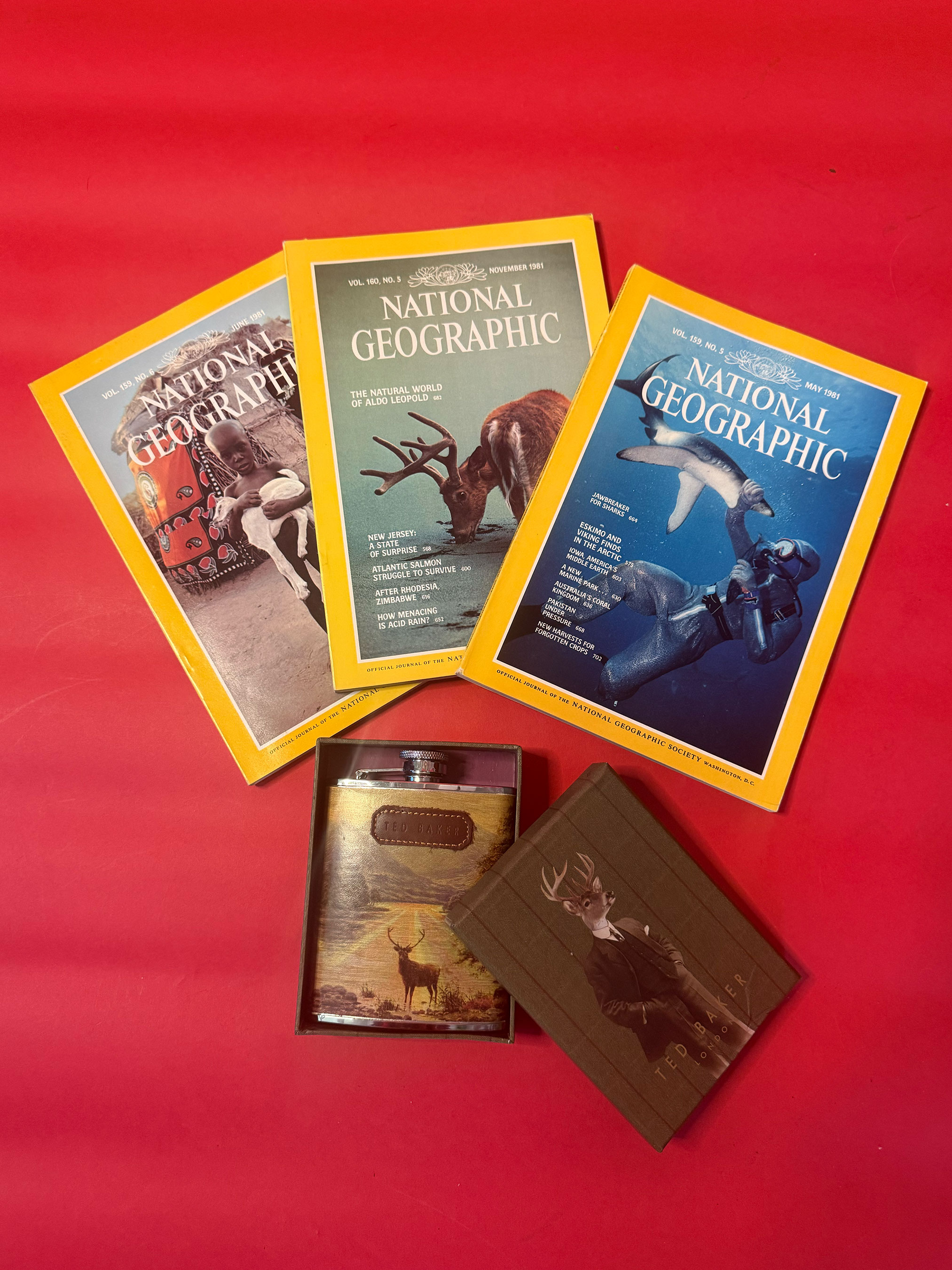 sparkpick features spark and rebel vintage magazines set in sustainable fashion